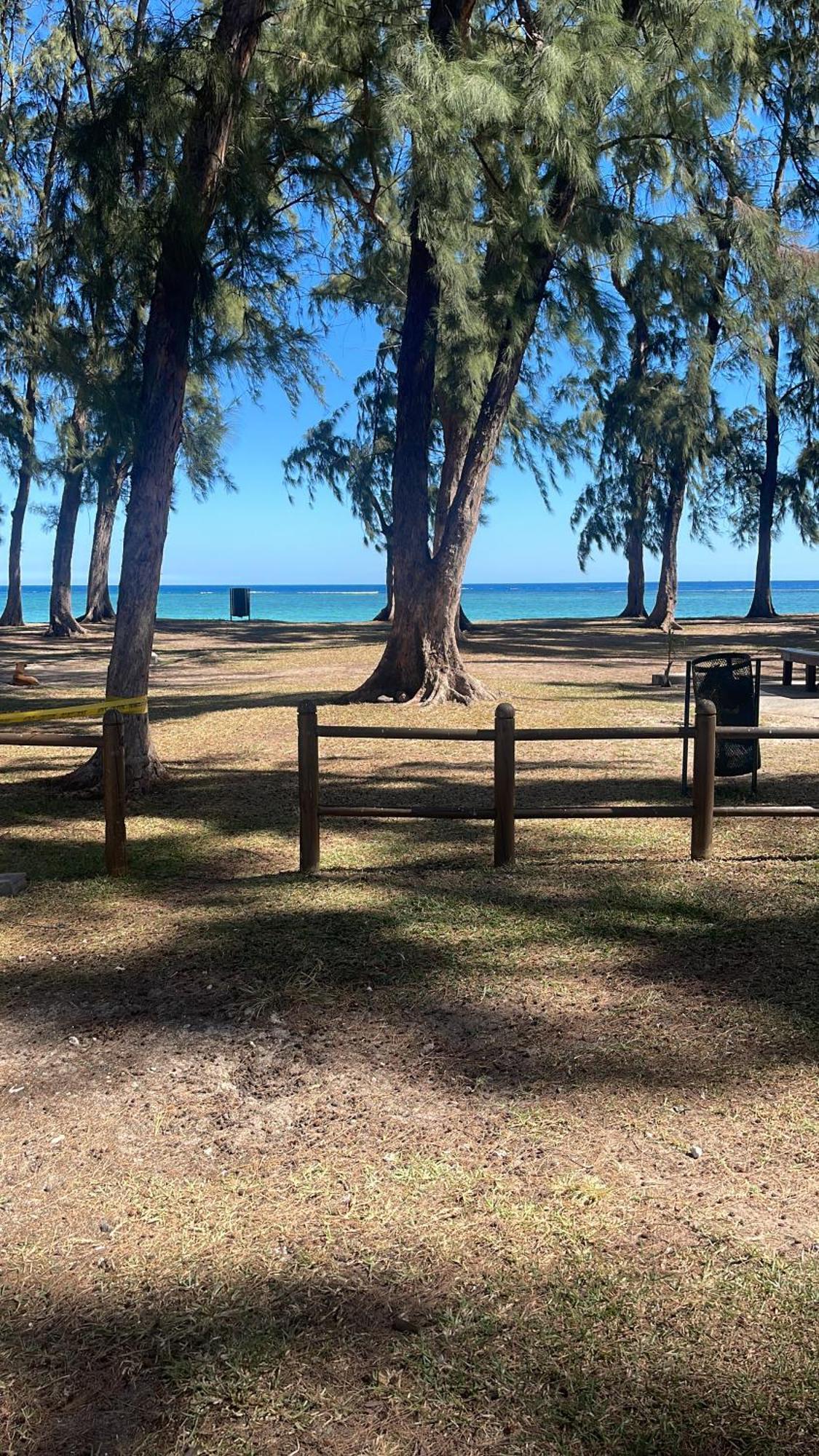 Phoenix Beach Apartments Sea View Flic en Flac Bagian luar foto
